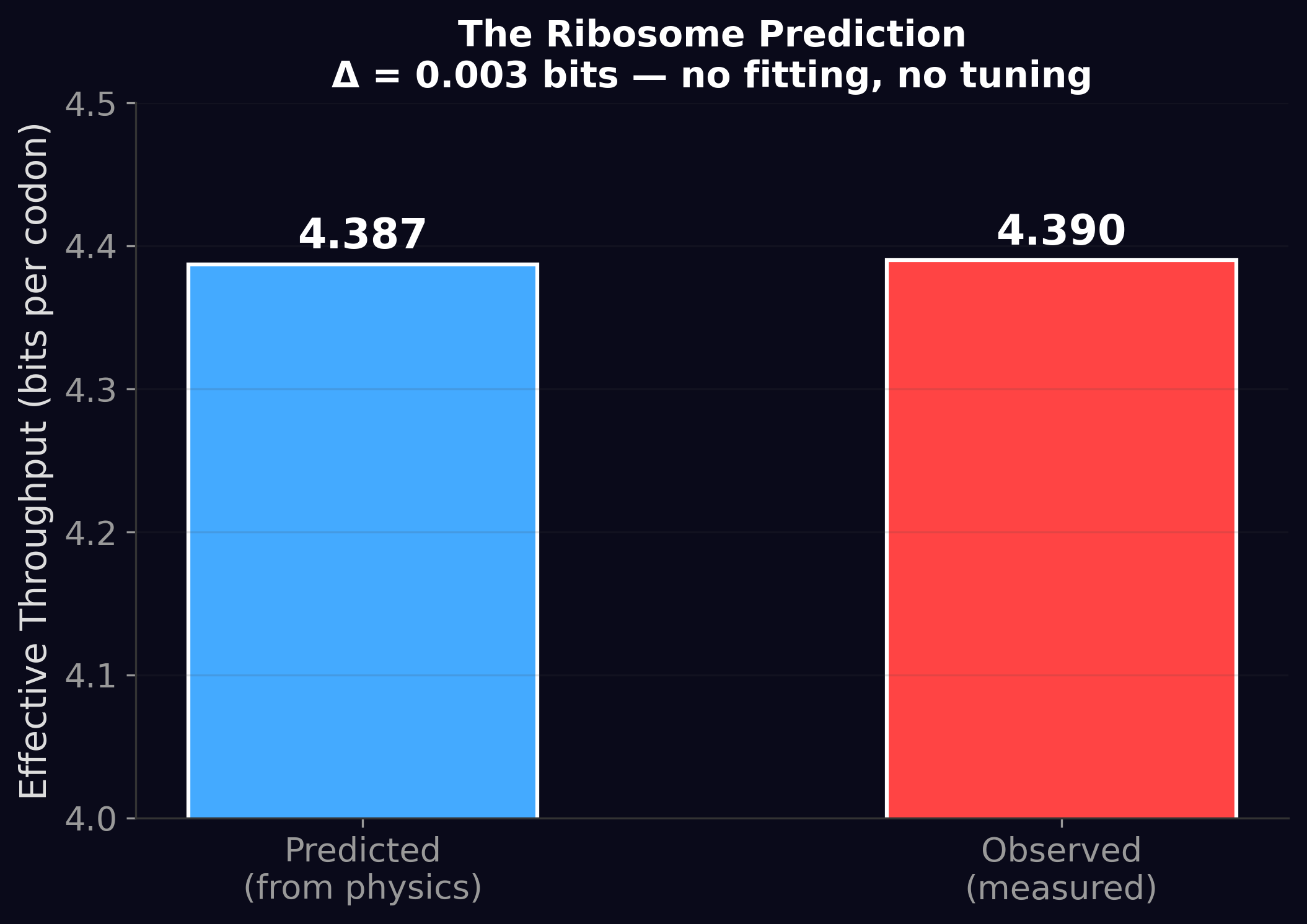 Ribosome prediction from pure physics